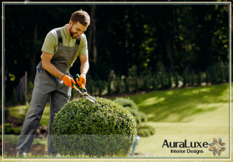 تنسيق الحدائق الفاخرة : اختيار النباتات الأمثل لمساحاتكم الراقية في جدة