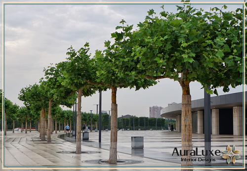 تصميم حدائق منزليه بجدة 0592424718 شركة أورا هواء نقي وبرودة مثالية! خدمات صيانة وتنظيف المكيفات بأحدث المعدات لضمان كفاءة الأداء وتوفير الكهرباء.